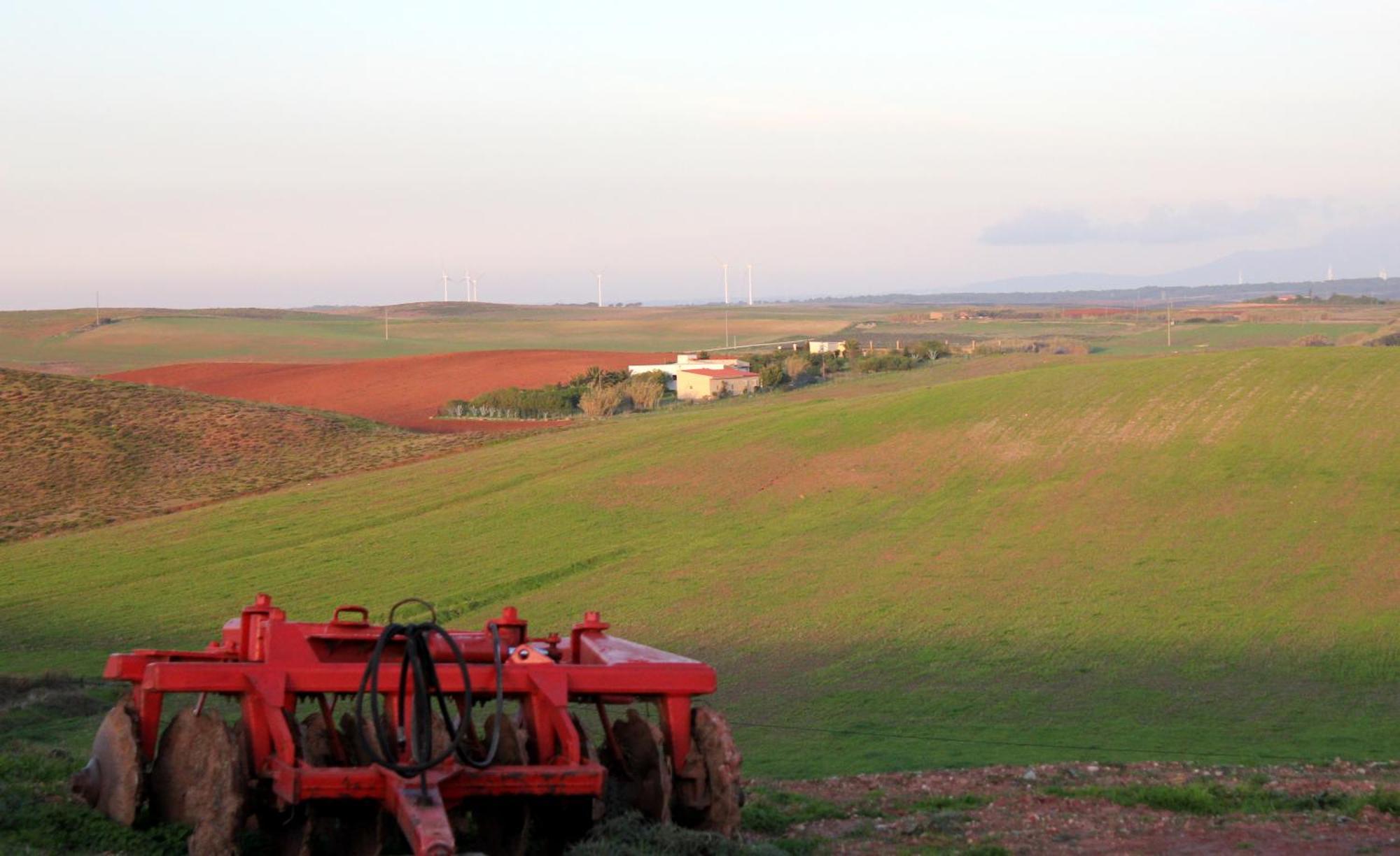 Monte De Santo Antonio - Turismo Rural Vila do Bispo Cameră foto